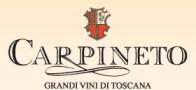 Carpineto